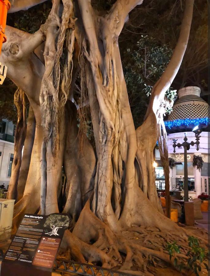 City Center Alicante - Santa Lucia - 2 المظهر الخارجي الصورة